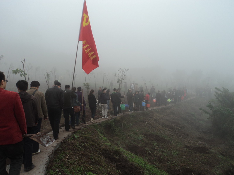 点击浏览下一页
