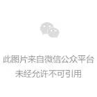 音符动态简约分割线