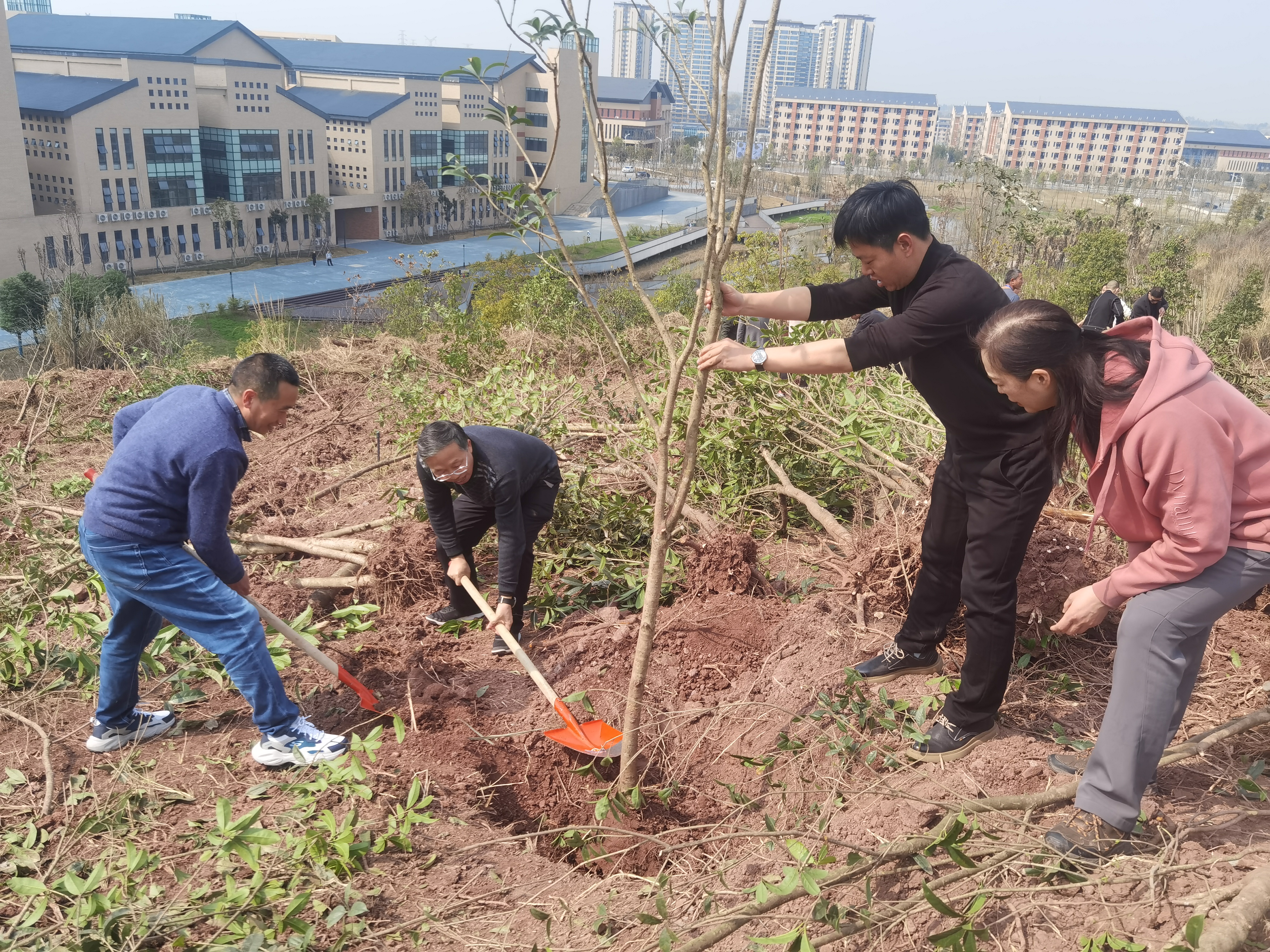 招标采购中心积极参加学雷锋义务植...